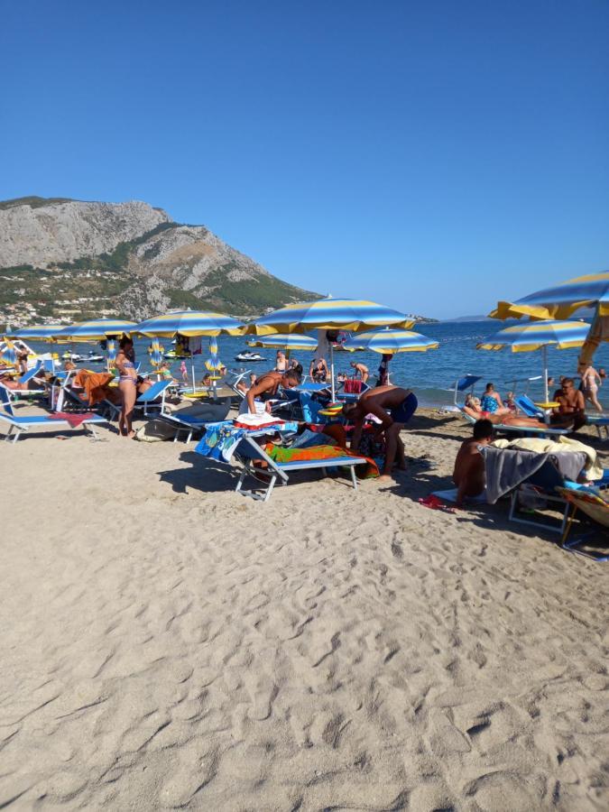 Bugenvilija Duće Buitenkant foto