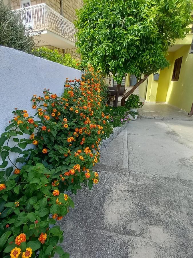 Bugenvilija Duće Buitenkant foto