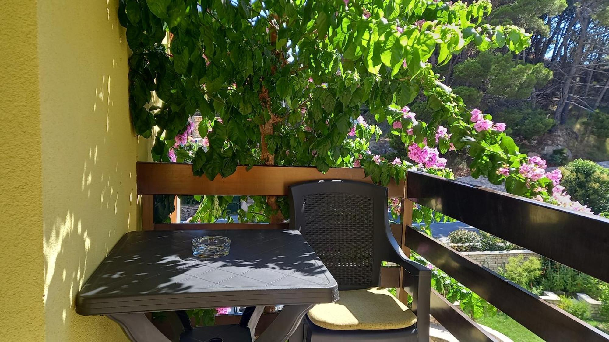 Bugenvilija Duće Buitenkant foto